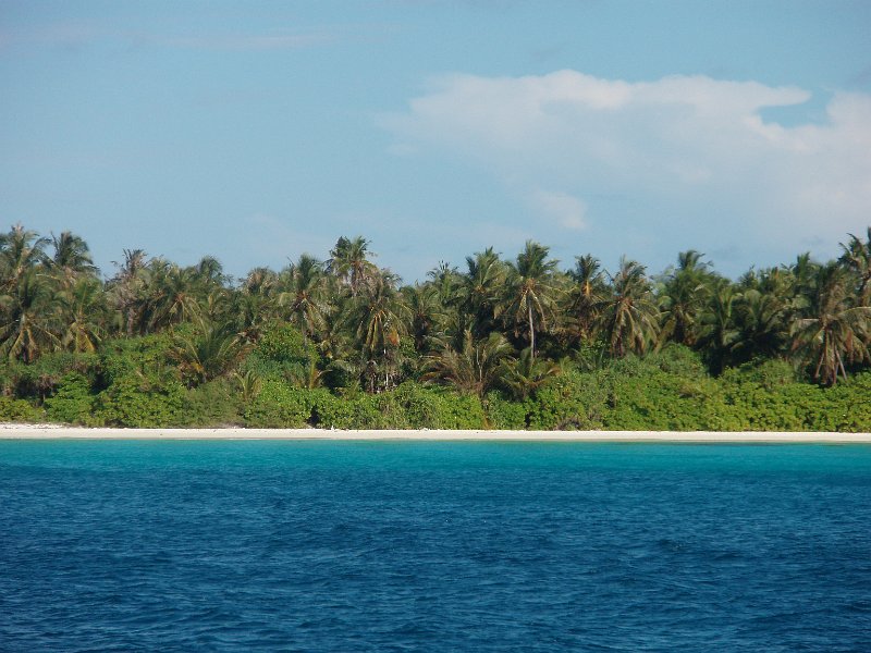 manfredland106