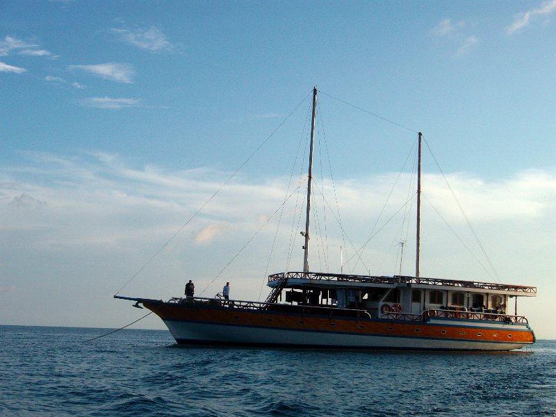 manfredland113