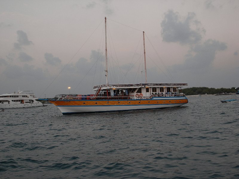 rainer219